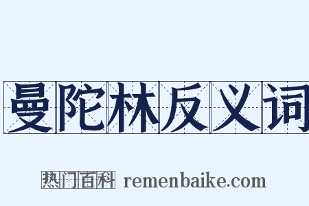 曼陀林反义词是什么意思的图片